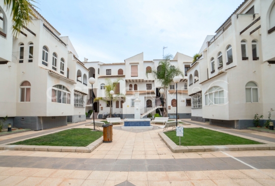 Перепродажа - Квартира - Torrevieja - El Acequión - Los Náufragos