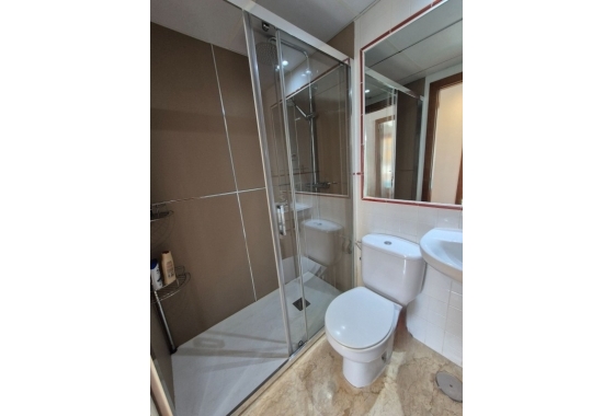 Återförsäljning - Lägenhet / lägenhet - Torrevieja - Costa Blanca