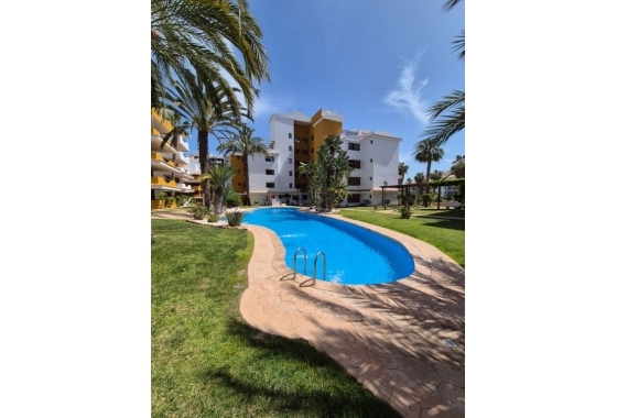 Återförsäljning - Lägenhet / lägenhet - Torrevieja - Costa Blanca
