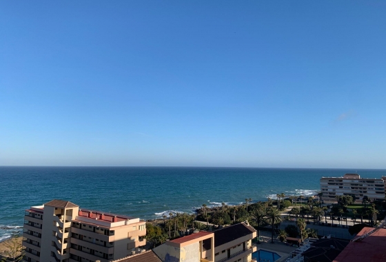 Reventa - Apartamento / piso - Torrevieja - Cabo Cervera