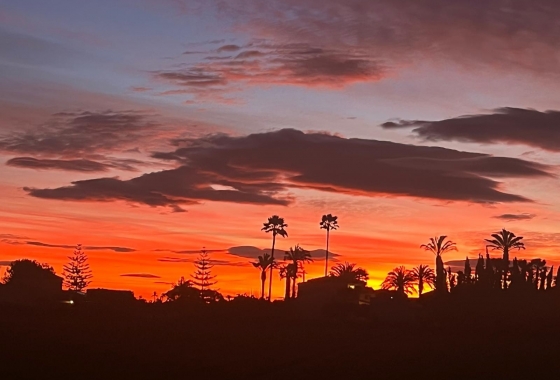 Resale - Villa - Dolores - Comunidad Valenciana