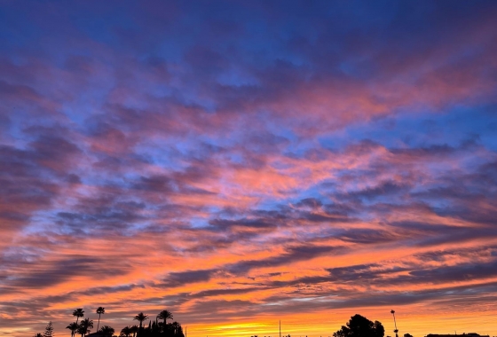 Resale - Villa - Dolores - Comunidad Valenciana