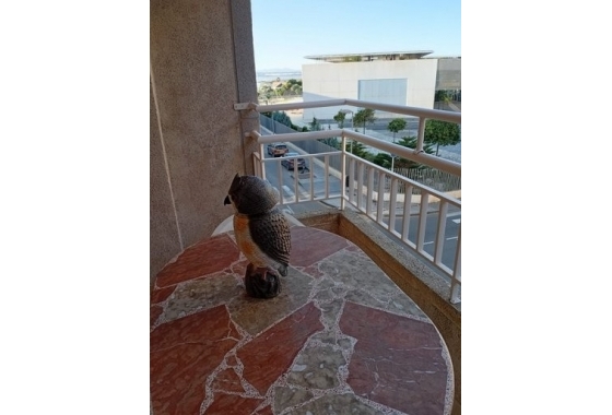 Reventa - Apartamento / piso - Torrevieja - El acequión