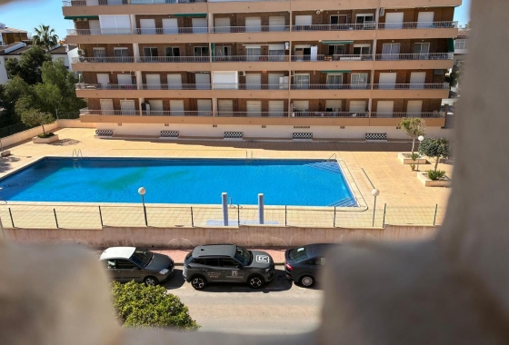 Återförsäljning - Lägenhet / lägenhet - Torrevieja - Costa Blanca