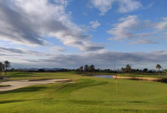 Wiederverkauf - Wohnung - San Javier - Roda