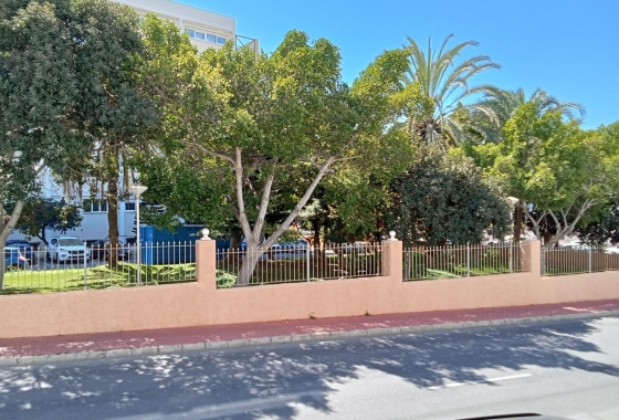 Återförsäljning - Lägenhet / lägenhet - Torrevieja - Estacion De Autobuses