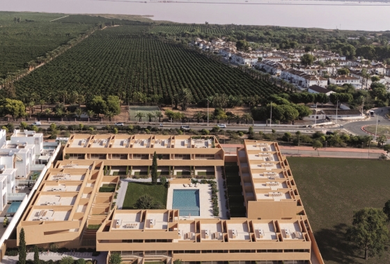 Obra nueva - Bungalow - Torrevieja