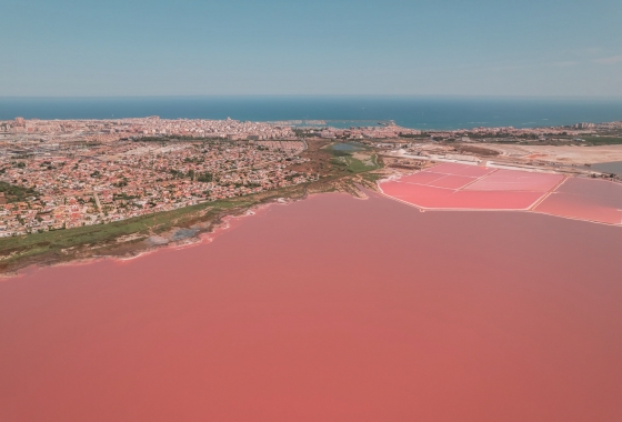 Новостройка - Бунгало - Torrevieja