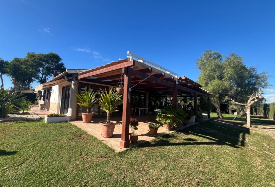 Перепродажа - Finca - Dolores - Comunidad Valenciana