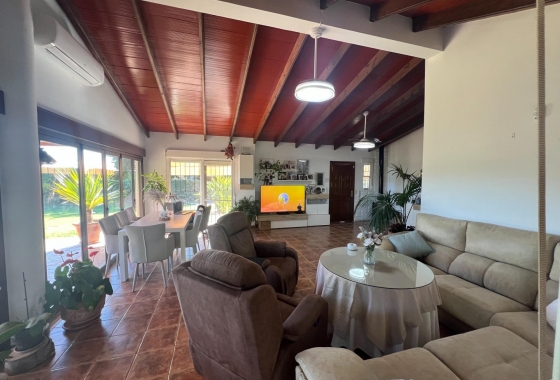 Перепродажа - Finca - Dolores - Comunidad Valenciana