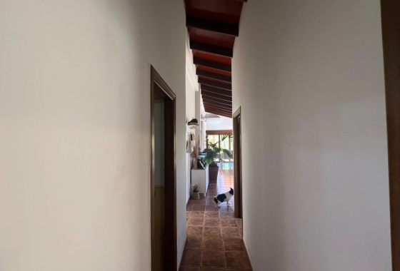 Перепродажа - Finca - Dolores - Comunidad Valenciana