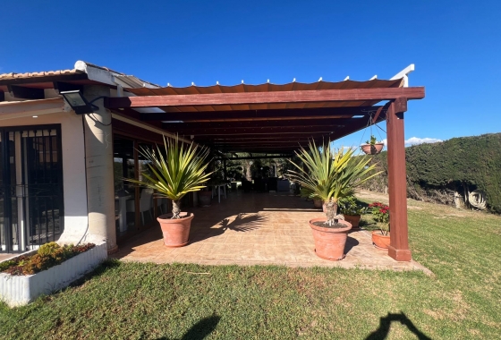 Перепродажа - Finca - Dolores - Comunidad Valenciana