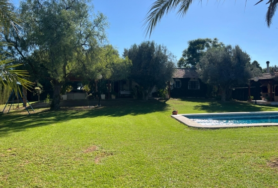 Перепродажа - Finca - Dolores - Comunidad Valenciana