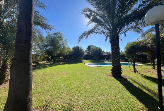 Перепродажа - Finca - Dolores - Comunidad Valenciana