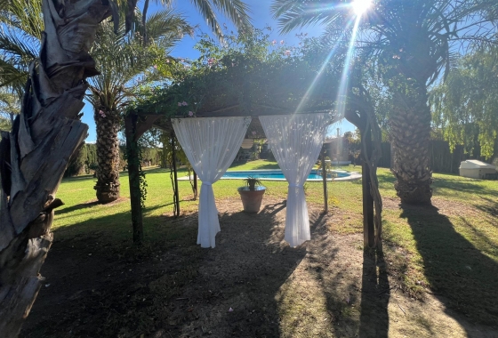 Перепродажа - Finca - Dolores - Comunidad Valenciana