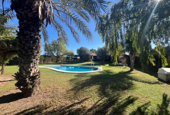 Перепродажа - Finca - Dolores - Comunidad Valenciana