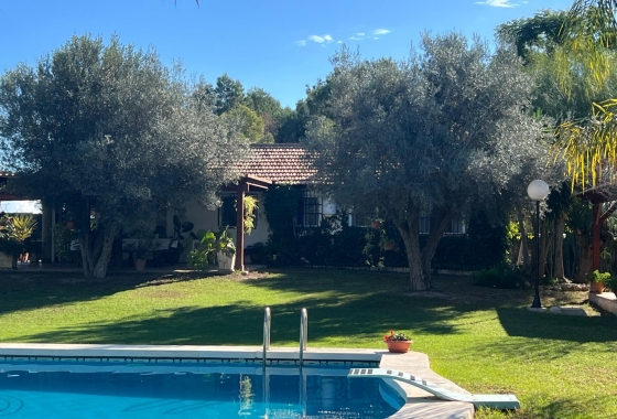 Перепродажа - Finca - Dolores - Comunidad Valenciana