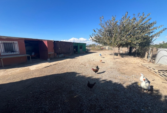 Перепродажа - Finca - Dolores - Comunidad Valenciana