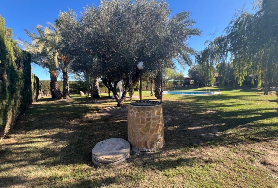 Перепродажа - Finca - Dolores - Comunidad Valenciana