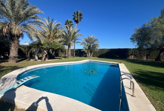 Перепродажа - Finca - Dolores - Comunidad Valenciana