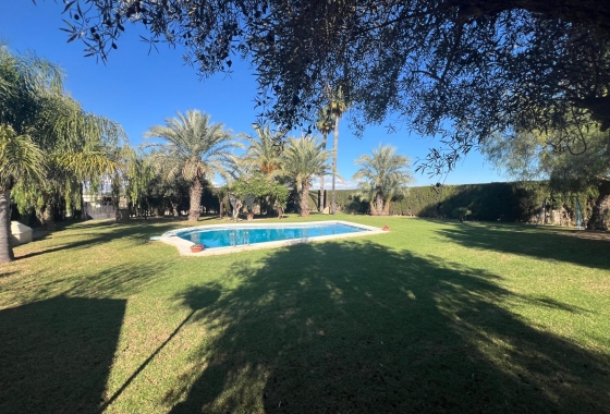 Перепродажа - Finca - Dolores - Comunidad Valenciana