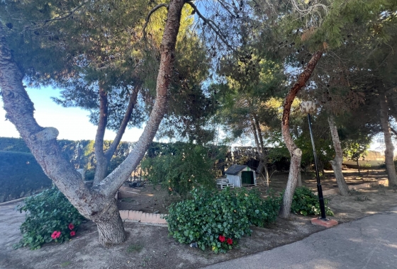 Перепродажа - Finca - Dolores - Comunidad Valenciana