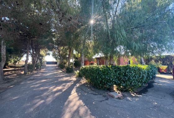 Перепродажа - Finca - Dolores - Comunidad Valenciana