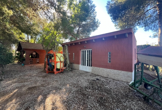 Перепродажа - Finca - Dolores - Comunidad Valenciana