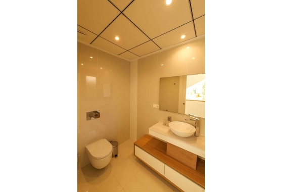 Новостройка - Вилла - Torrevieja