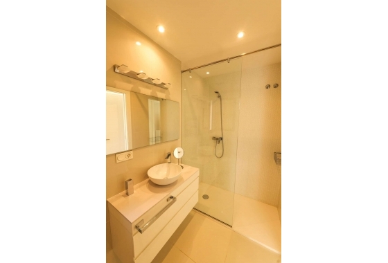 Новостройка - Вилла - Torrevieja