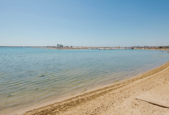 Revente - Appartement - Torrevieja - Playa del Acequión