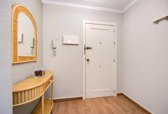 Wiederverkauf - Wohnung - Torrevieja - Acequion