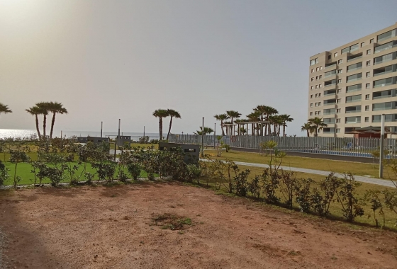 Перепродажа - Квартира - Torrevieja - Punta Prima