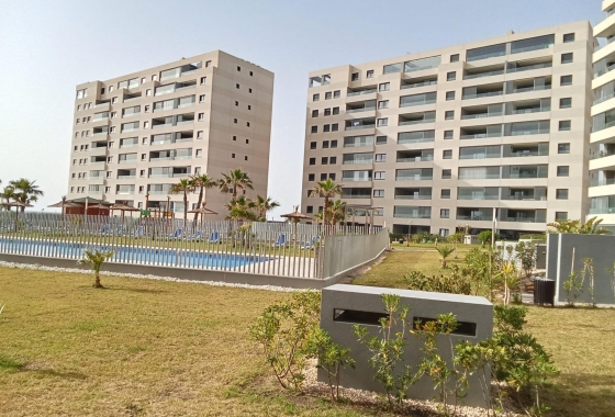 Перепродажа - Квартира - Torrevieja - Punta Prima