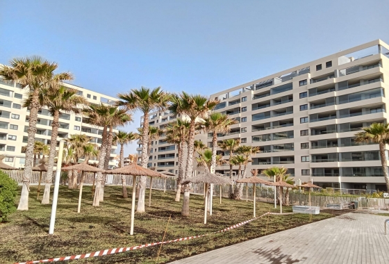 Перепродажа - Квартира - Torrevieja - Punta Prima