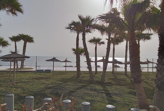 Перепродажа - Квартира - Torrevieja - Punta Prima