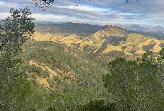 Revente - Finca - Gea Y Truyols - Inland