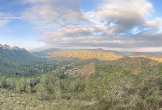 Revente - Finca - Gea Y Truyols - Inland