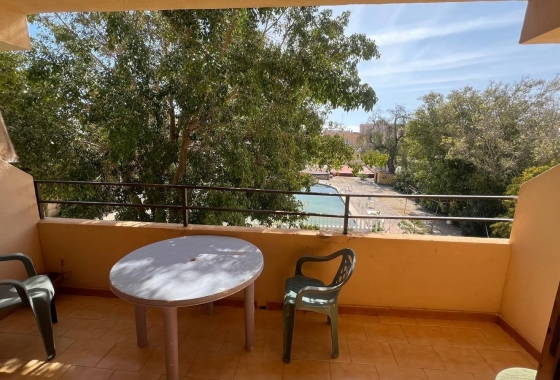 Resale - Studio - Torrevieja - Urb. Rosaleda