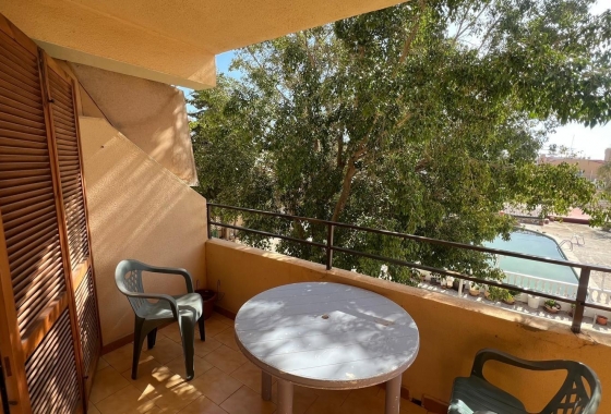 Resale - Studio - Torrevieja - Urb. Rosaleda