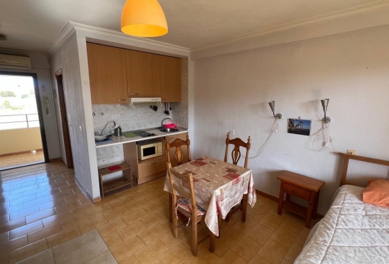 Resale - Studio - Torrevieja - Urb. Rosaleda