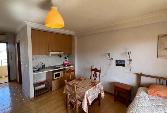 Resale - Studio - Torrevieja - Urb. Rosaleda