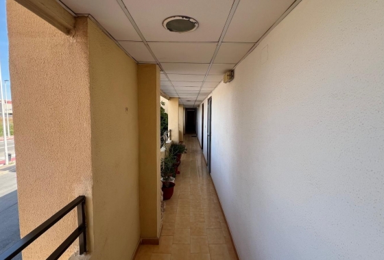 Resale - Studio - Torrevieja - Urb. Rosaleda