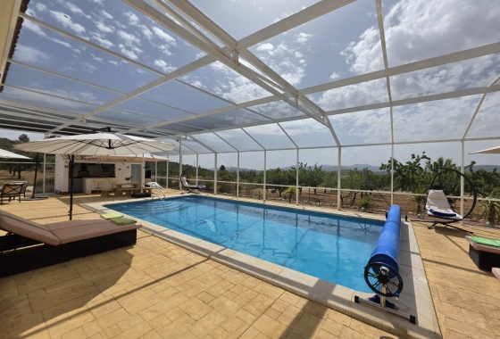 Перепродажа - Вилла - Pinoso - Inland