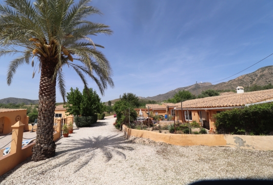 Resale - Finca - Hondón de las Nieves - Inland