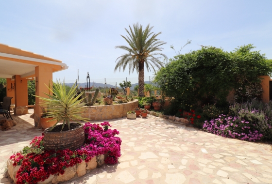 Resale - Finca - Hondón de las Nieves - Inland