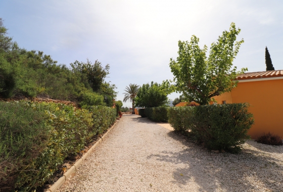 Resale - Finca - Hondón de las Nieves - Inland