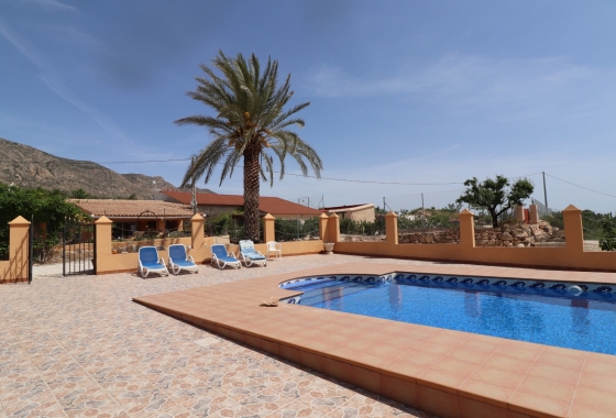 Resale - Finca - Hondón de las Nieves - Inland