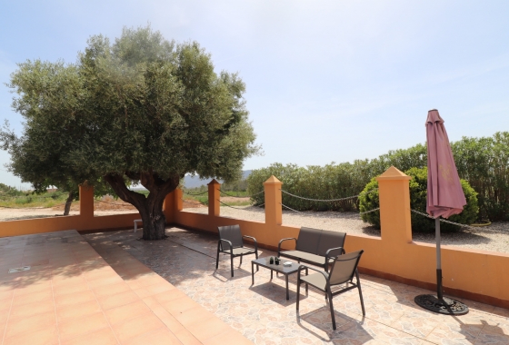 Resale - Finca - Hondón de las Nieves - Inland