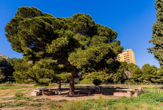 Resale - Townhouse - Orihuela Costa - Costa Blanca